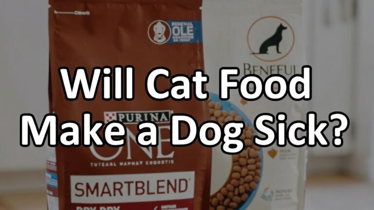Will Cat Food Make a Dog Sick
